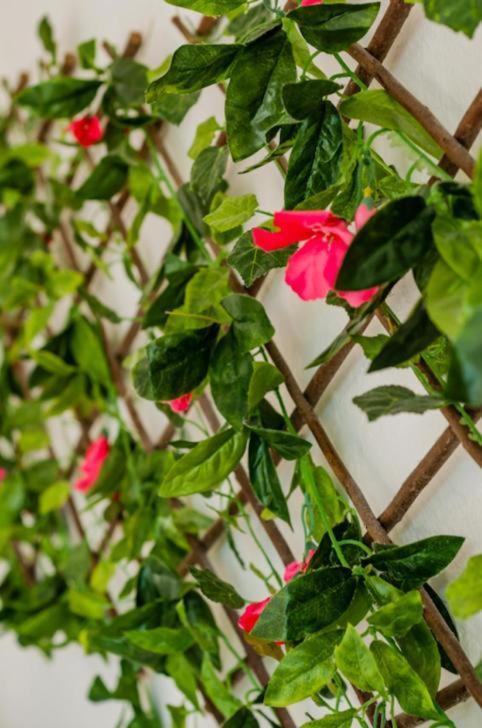 Amazing Location & Great Price Apartamento Cancún Exterior foto